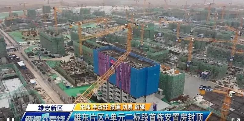 焦點！大將軍驚艷亮相雄安德維斯建博會，流量爆棚引圍觀！(圖7)