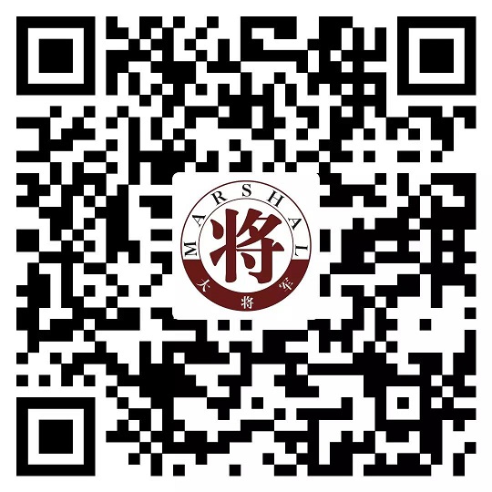 攻略丨了解多姿多彩的瓷磚紋理，才能裝出時(shí)尚有范的美好生活！
(圖14)