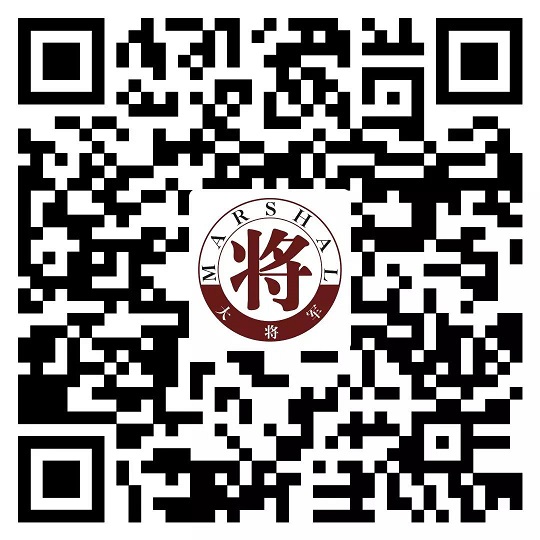 攻略丨了解多姿多彩的瓷磚紋理，才能裝出時(shí)尚有范的美好生活！
(圖8)