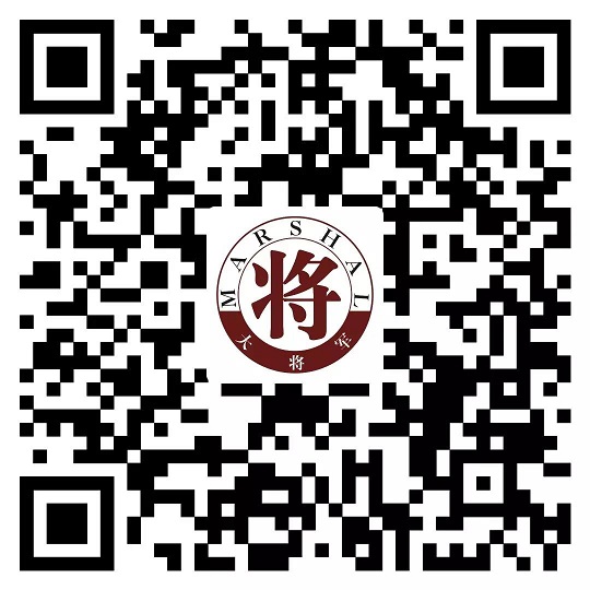 攻略丨了解多姿多彩的瓷磚紋理，才能裝出時(shí)尚有范的美好生活！
(圖17)
