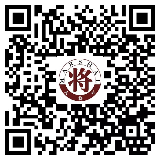 攻略丨了解多姿多彩的瓷磚紋理，才能裝出時(shí)尚有范的美好生活！
(圖11)