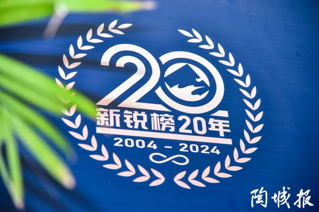卓越力量，載譽領航！大將軍瓷磚實力斬獲“新銳榜20年卓越品牌”榮譽(圖3)